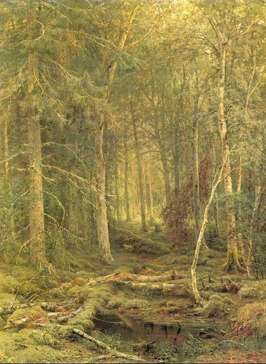 Backwoods, Ivan Shishkin